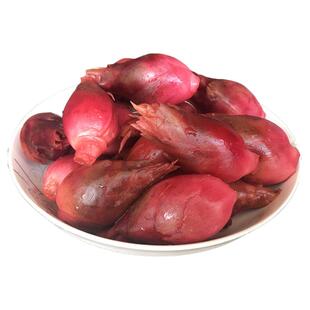 湖北竹溪泡菜酸阳荷姜洋荷洋禾野生阳霍茗荷土姜山姜白蘘荷酸菜