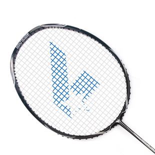 威德博威羽毛球拍全碳素羽毛拍超轻单拍男 女款1支装可配双拍