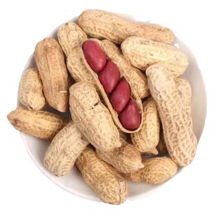 四粒红花生种子农家红皮花生带壳新花生四粒花生种子小粒自然晒干