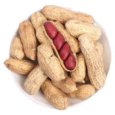 农家新花生四粒红自然晒干种子