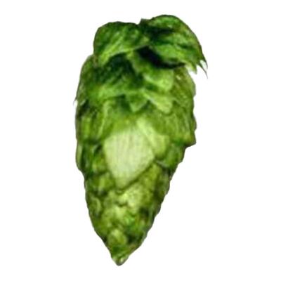 包邮哥伦布啤酒花Columbus/CTZ