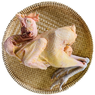 信阳农家散养三年老母鸡孕妇正宗土鸡野外固始柴鸡月子鸡现宰