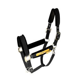 cavassion防护马笼头仿羊毛牵马笼头 马术骑马用品装备 洛奇马具