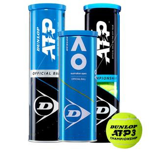 DUNLOP邓禄普网球红土地训练网球比赛用球大师赛官方网球整箱新品