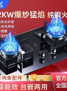 新飞家用燃气灶台式嵌入式煤气灶双灶天然气液化气炉具节能猛火灶