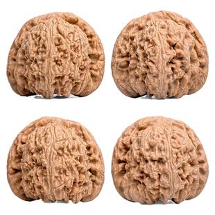 文玩核桃精品南疆石核桃一物一图A74011全品无修南将石狮子头44mm