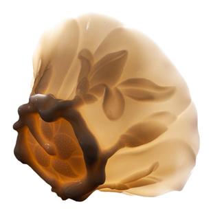 古垚/庄晓阳手工孩儿红茶杯白瓷品茗杯玉瓷主人杯送礼瓷/辛夷花杯