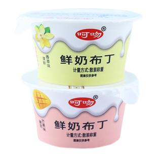 酸奶布丁果冻学生营养早餐代餐含乳型果冻大杯鲜奶甜品儿童小零食