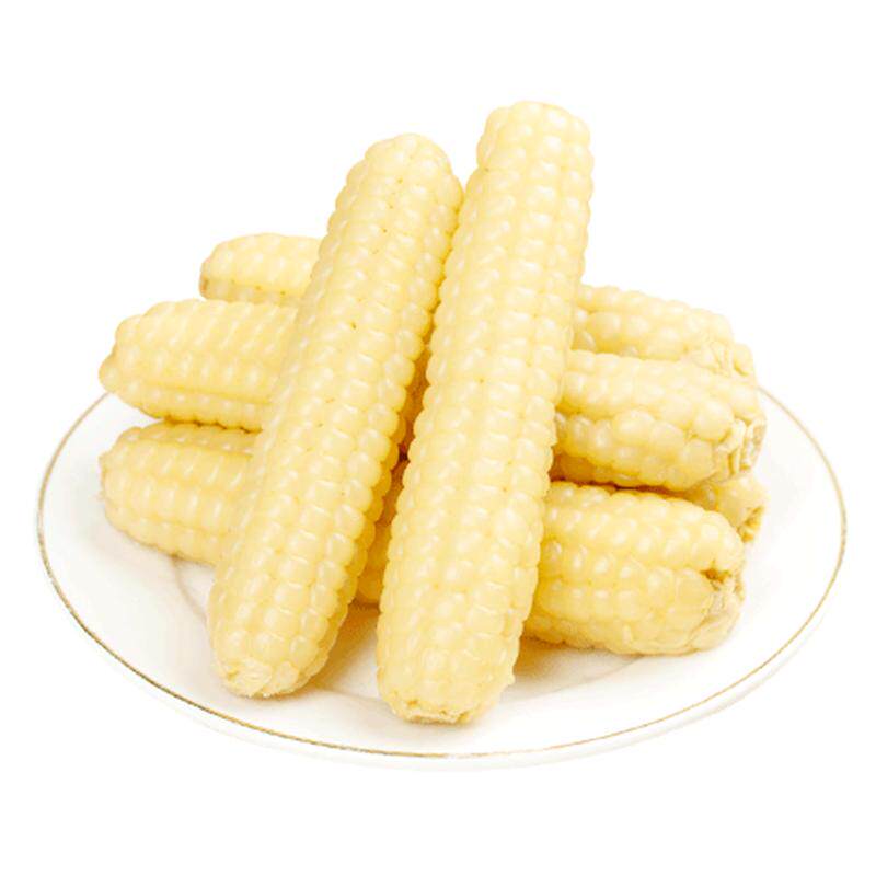 华田禾邦云南西双版纳拇指玉米香糯儿童速食早餐代餐新鲜手指玉米
