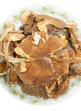 菇500g野生鸡纵菌云南特产鸡枞菌