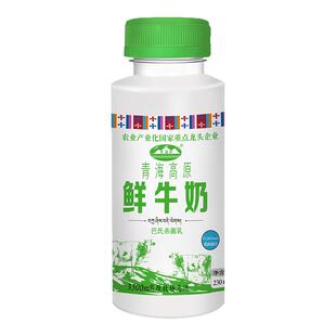 【顺丰】青海湖青藏高原鲜牛奶500ml巴氏杀菌纯鲜活低温冷藏230