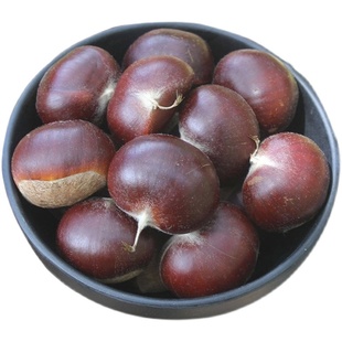 2025年自然熟山东五莲山板栗野生新鲜板栗生栗子油板栗笨栗光栗子