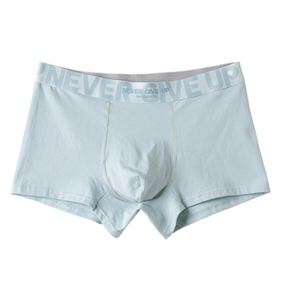 3条装 男士内裤男生纯棉2024新款平角裤5A抗菌中腰透气四角短裤衩