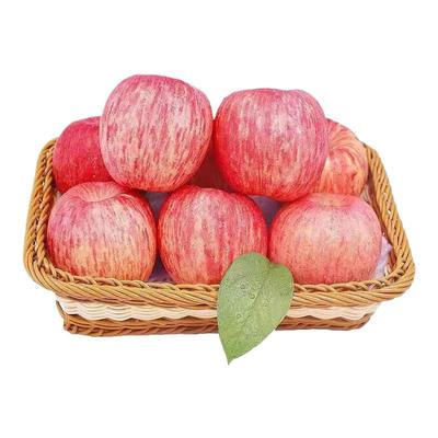 山东烟台红富士苹果新鲜水果当季整箱包邮脆甜正品栖霞富士苹果