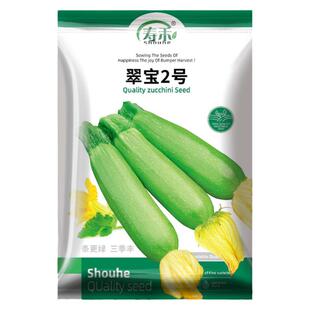 高产西葫芦种子种籽孑苗四季南方菜苗春季香蕉瓜苗秧籽种蔬菜秧苗