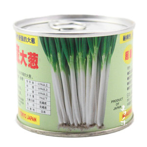 蔬菜日本耐热高产大葱种子