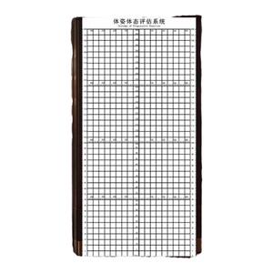 体态评估表工作室墙纸瑜伽馆壁画