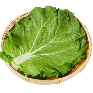 顺丰包邮东北饭包叶农家新鲜现摘大白菜饭包专用蘸酱菜白菜叶商用