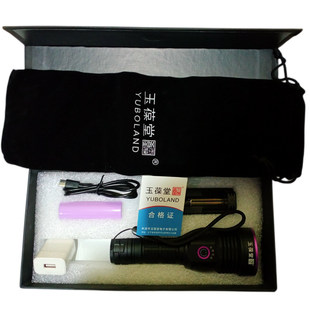 玉葆堂日亚60瓦紫光灯手电筒荧光灯新款验钞笔钱币纸币便携式充电专用灯检测笔夜钓纸尿裤尿不湿猫癣玉石珠宝