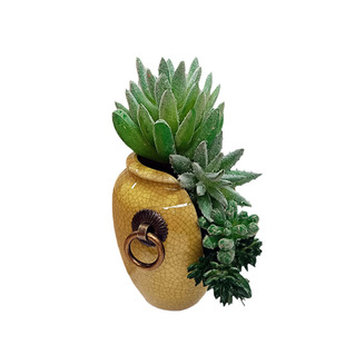 多肉拇指花盆缺口悬崖粗陶罐铜环景德镇迷你创意老桩冰裂窑变流釉