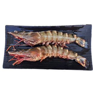 送礼选择青岛市鲜活超新鲜大对虾海鲜水产超大明虾基围虾 礼盒装