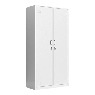 钢制员工铁皮柜两门更衣柜收纳神器护士宿舍三门换衣柜储物柜鞋柜