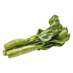 鸡腿芥兰种子芥兰菜种籽潮汕红芥蓝菜籽甜芯绿芥蓝种孑四季蔬菜籽