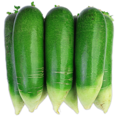 潍坊水果萝卜5斤青萝卜