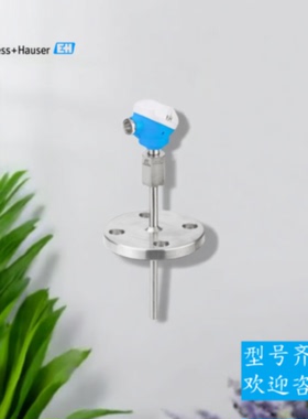 议价EH工业温度计TM121-AAAAB1A4AA0A2A1热电偶恩德斯豪斯电阻传