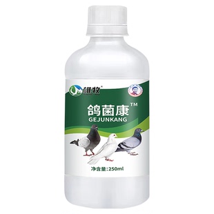 雄牧鸽菌康鸽子水便绿便沙门氏菌大肠杆菌甩头甩食调理肠道专用