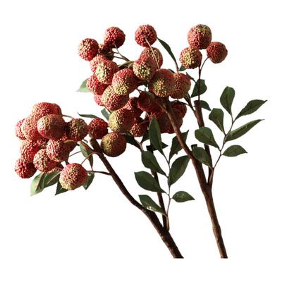 荔枝果枝植物插花橱窗摆件寓意果