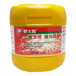 根太阳生根剂植物龙公司爆发式生根剂苗木果蔬生根壮苗微生物菌剂