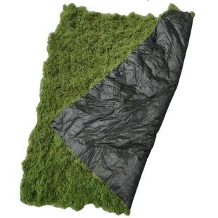 仿真苔藓 造景布置摆件 假青苔草皮铺面 盆景微景观装饰 永生苔藓