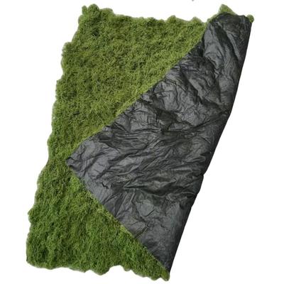 仿真苔藓仿生苔藓皮人造青苔造景