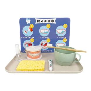 蒙氏教具精细动作训练早教玩具生活区小班材料幼儿园区域刷牙训练