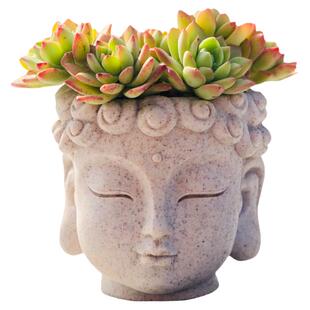 禅意多肉花盆情绪稳定佛系桌面摆件仿石头佛头人物造型小盆栽治愈