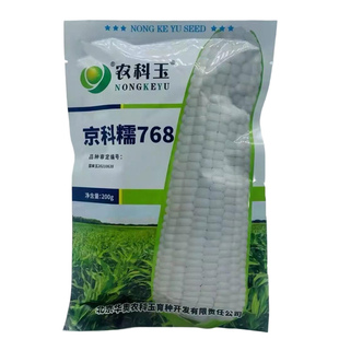 京科糯768玉米种子白甜糯国审大棒抗病高产农科玉原装玉米种籽
