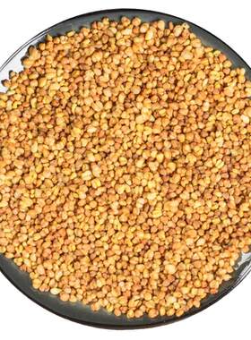 苦荞茶2500g5斤正品特级四川大凉山黄苦荞茶小袋装麦香型饭店专用