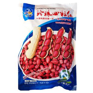 四粒红花生种子 春夏季播蔬菜籽 两粒红皮大小易种好吃菜园高产孑