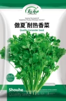 Семена кориандра Aoxia термостойкие, 500 г, оригинальные, специально для лета, жаростойкие