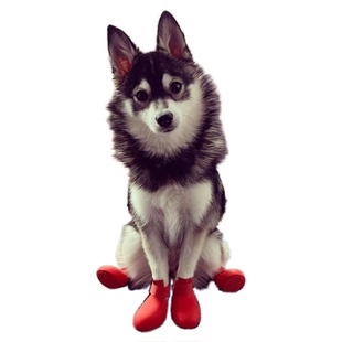 XPAWS 狗狗防滑鞋子网红ins风防水雨靴冬季户外可爱宠物雨鞋不掉