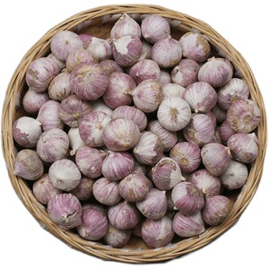 云南独头蒜1斤中果，大蒜头