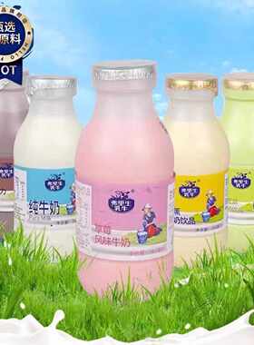 费里生乳牛子母奶243ml纯牛奶巧克力草莓味哈密瓜味牛奶饮品饮料