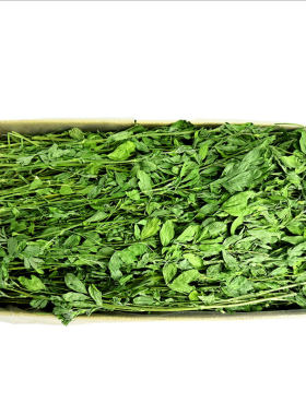 26年头茬烘干苜蓿草叶多杆子细