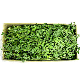 25年烘干苜蓿草干草兔子新草龙猫荷兰猪幼兔干牧草佩安友苜蓿草