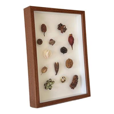 中空标本相框立体昆虫植物DIY干花手工diy贝壳蝴蝶摆台画框摆件