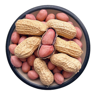 河南带壳花生生的粉皮农家日晒当季新货整箱5斤高产花生种批发