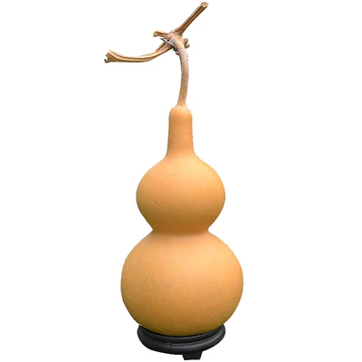 堂口黄家真身黄皮子黄鼬可烧替身