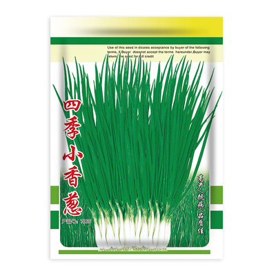 红根小香葱种子红葱头小香葱籽葱头葱种籽四季盆栽菜蔬菜种孑菜籽