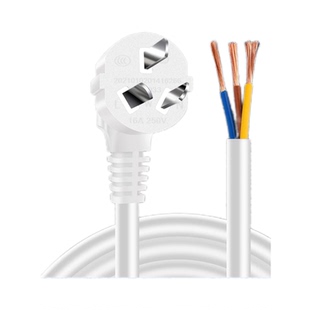 10A16a国标三插孔3芯带插头电源线大功率1/1.5/2.5平方单头裸尾铜